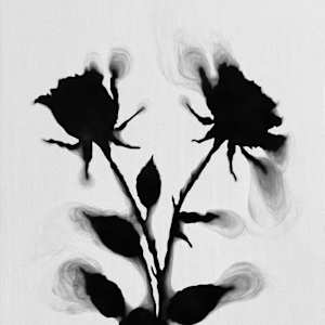 PARTNERSHIP & UNITY by Denise Giordano 