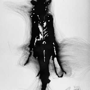 THE REBEL CANDIDATE by Denise Giordano 