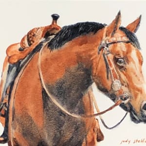 American Horse by Judy Steffens