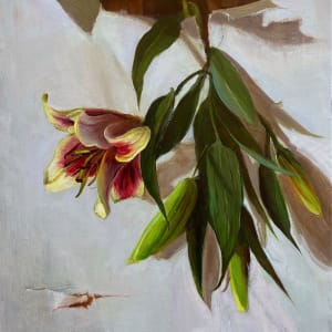 Lily liberte by Deana Evstefeeva