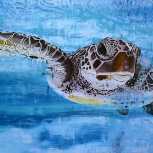 Hawksbill Sea Turtle by Julie Siracusa
