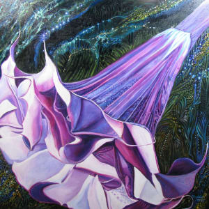 Purple Angel's Trumpet by Tony Mayard