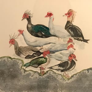 Muscovy In the Park by Donna Davis