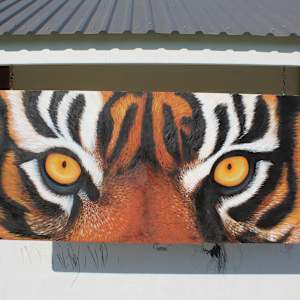 Tiger by Micah "Guy" Patout, Image 1.