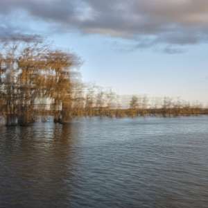 Ecotones III #521 by Gary Pilcher