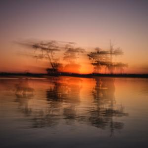 Ecotones III #766 by Gary Pilcher