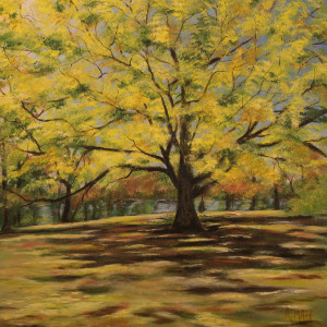 Yellow Tree by Anne Matt