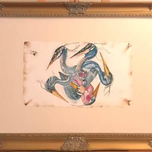 Herons in Color by Donna Davis