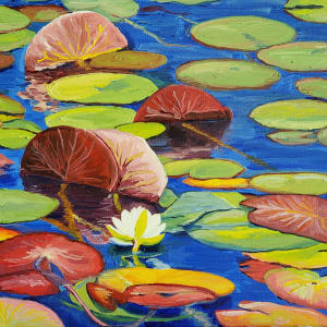 Waterlily at Lacassine National Wildlife Refuge by Claire Dawkins