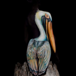 The Pelican by Brittney Pelloquin