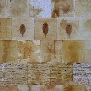 Braille Series (Magnolia) by Mary Ellen Leger-Hathorn