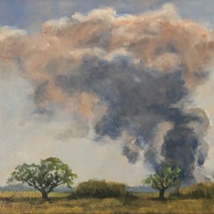 Stubble fire by Doug Nehrbass