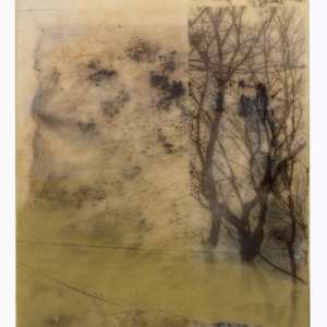 Here Not Here by Jane Michalski