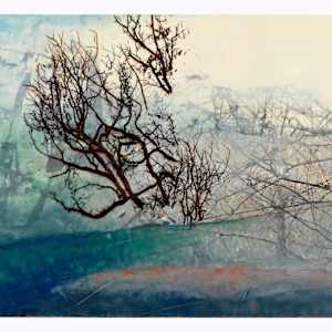 November Wind II by Jane Michalski