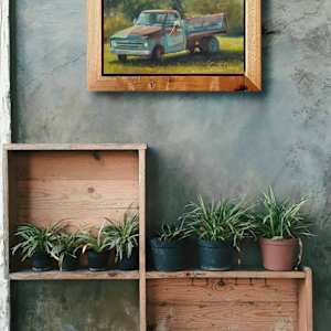 '67 Chevy by Becky Smith-Dobbins 