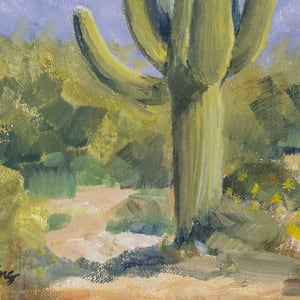 Sonoran Saguaro 