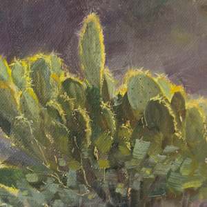 Desert Halo by Becky Smith-Dobbins 