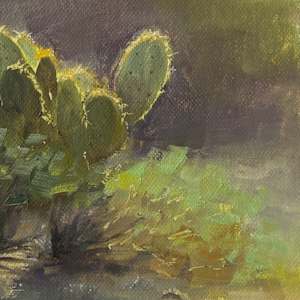 Desert Halo by Becky Smith-Dobbins 