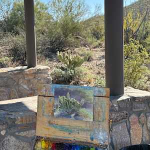 Desert Halo by Becky Smith-Dobbins 