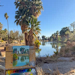 Desert Oasis by Becky Smith-Dobbins 