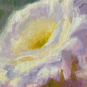 Desert Radiance by Becky Smith-Dobbins 