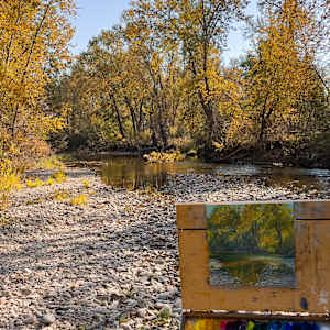Autumn on Lolo Creek by Becky Smith-Dobbins, Image 2.