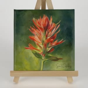 Indian Paintbrush by Becky Smith-Dobbins 