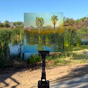 Reflections in the Reeds by Becky Smith-Dobbins 
