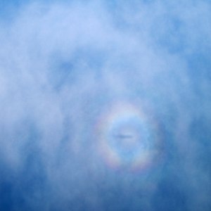 COTTON CITIES (CIUDADES DE ALGODÓN) by Claire Becker 