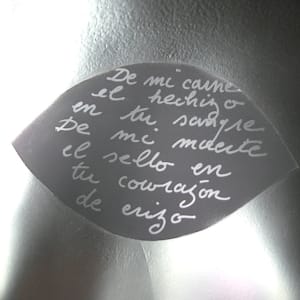 Cowrazón de erizo by Claire Becker, Image 1.