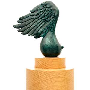Amazon I (Amazona I) by Claire Becker 