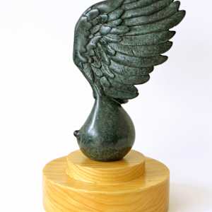 Amazon III (Amazona III) by Claire Becker