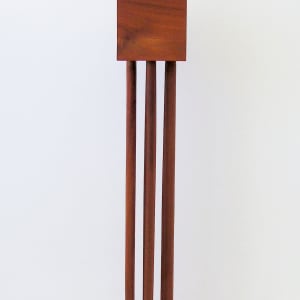 Amazon II (Amazona II) by Claire Becker 