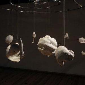 The Shell that separates us (El cascarón que nos separa) by Claire Becker, Image 6.
