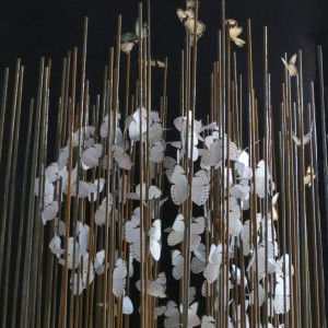 Imago by Claire Becker