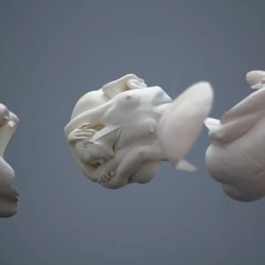 The Shell that separates us (El cascarón que nos separa) by Claire Becker, Image 2.