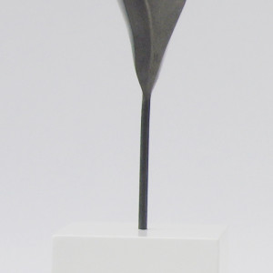 The ecstasy of the petals (El éxtasis de los pétalos) by Claire Becker