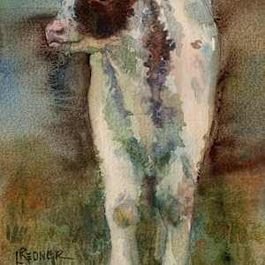Spring Calf by Lynette Redner