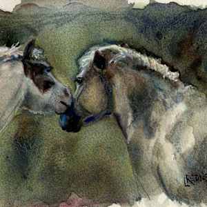 Shetland Kiss by Lynette Redner