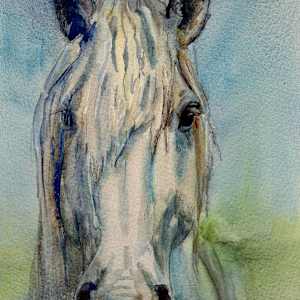 The White Draft by Lynette Redner