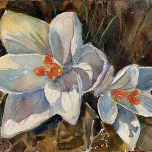 Spring's First Flowers: crocus by Lynette Redner