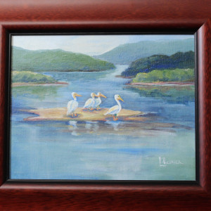 Studies of Pelicans on the River by Lynette Redner 