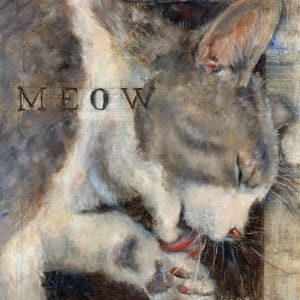 Meow: Barnyard Talk Series by Lynette Redner