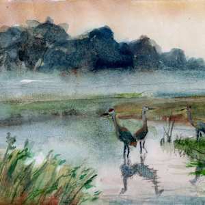 Morning on the Creek. Cranes by Lynette Redner