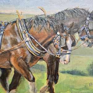 Pulling Together by Lynette Redner