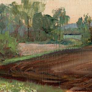 Spring Field by Lynette Redner