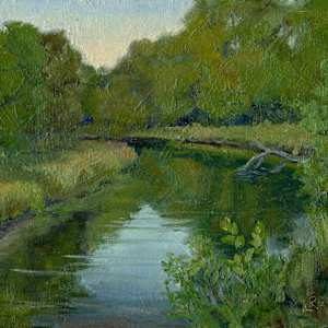 The Quiet Baraboo River: Reedsburg, Wisconsin by Lynette Redner