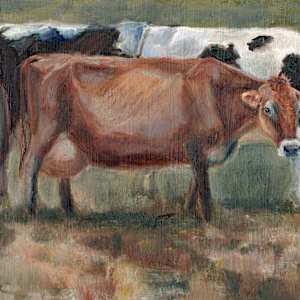 This N That Cows by Lynette Redner