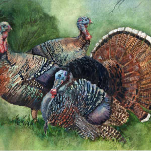 Turkeys in the Field by Lynette Redner 