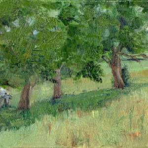 Under the Oaks by Lynette Redner